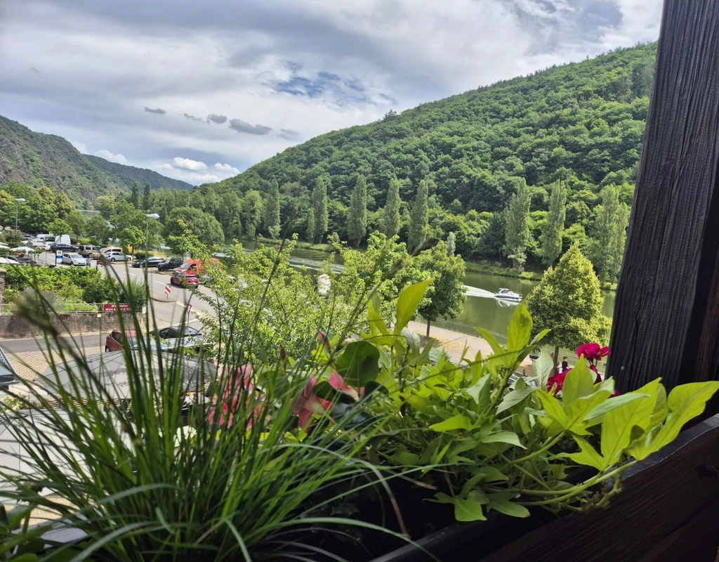Ferienwohnung_Blick_Mosel_Klotten